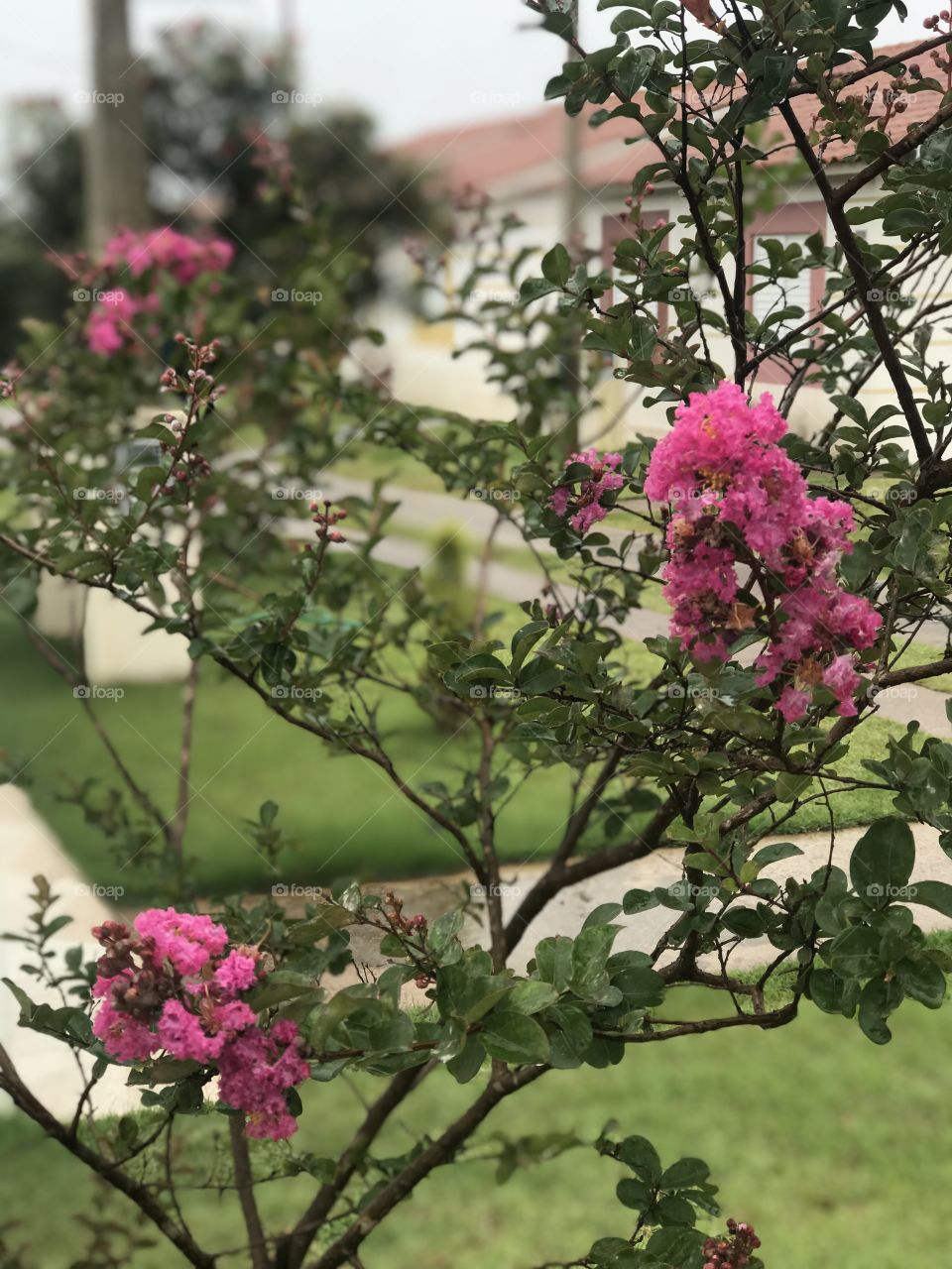 Some snaps near the highways condômino