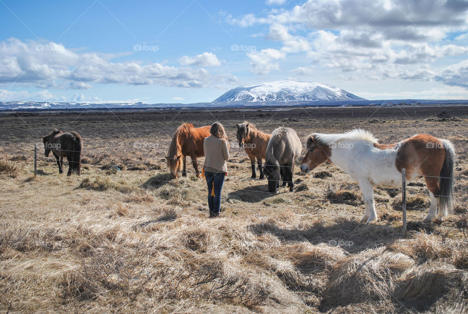 Visiting horses