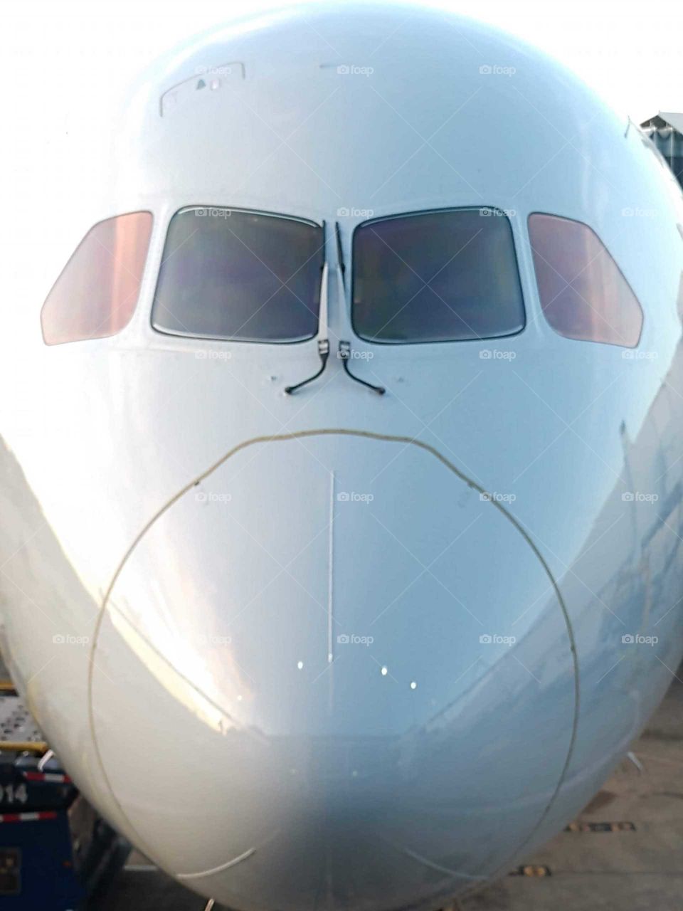 airplane nose