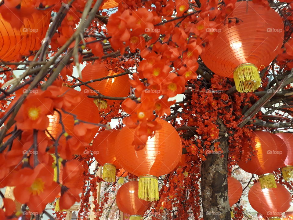 Celebrate Chinese new year with red lanterns and flowers