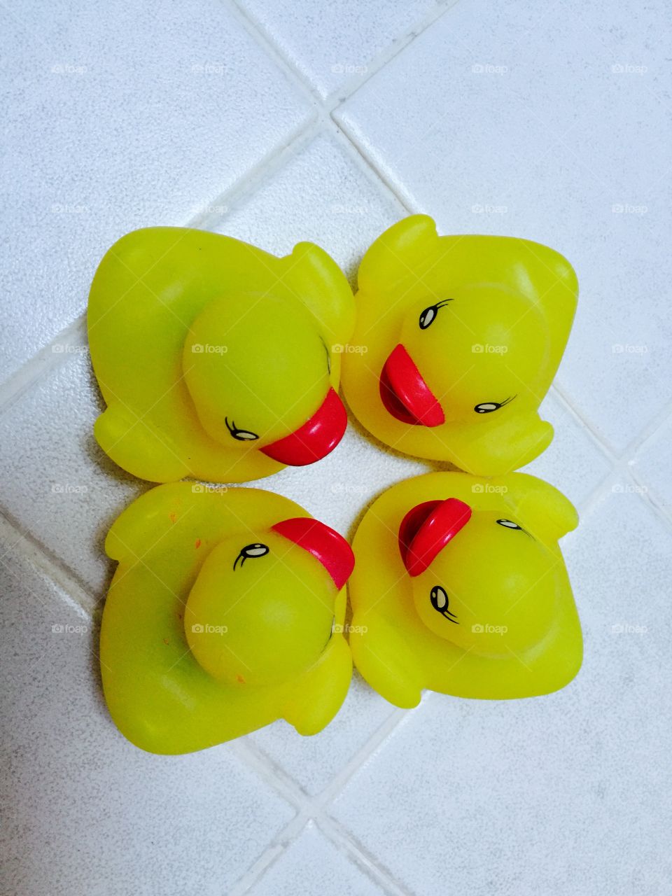 My ducks