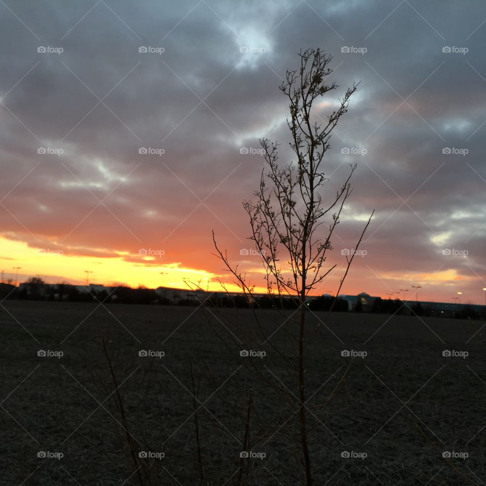 Sunset over plowed field