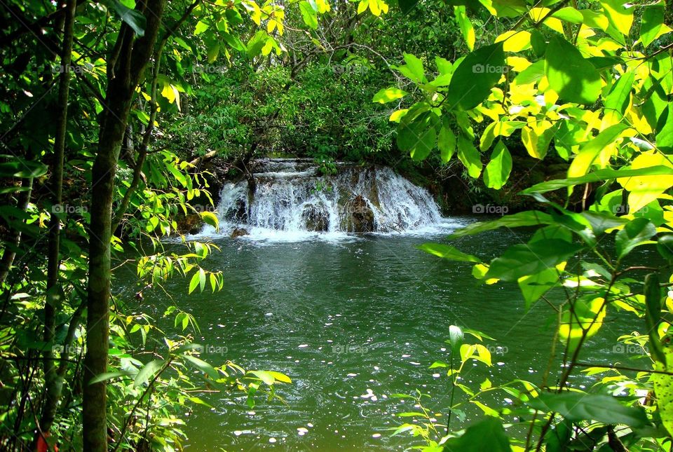 A waterfall. A small waterfall