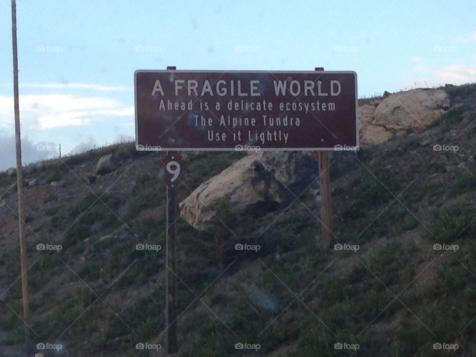 A fragile world