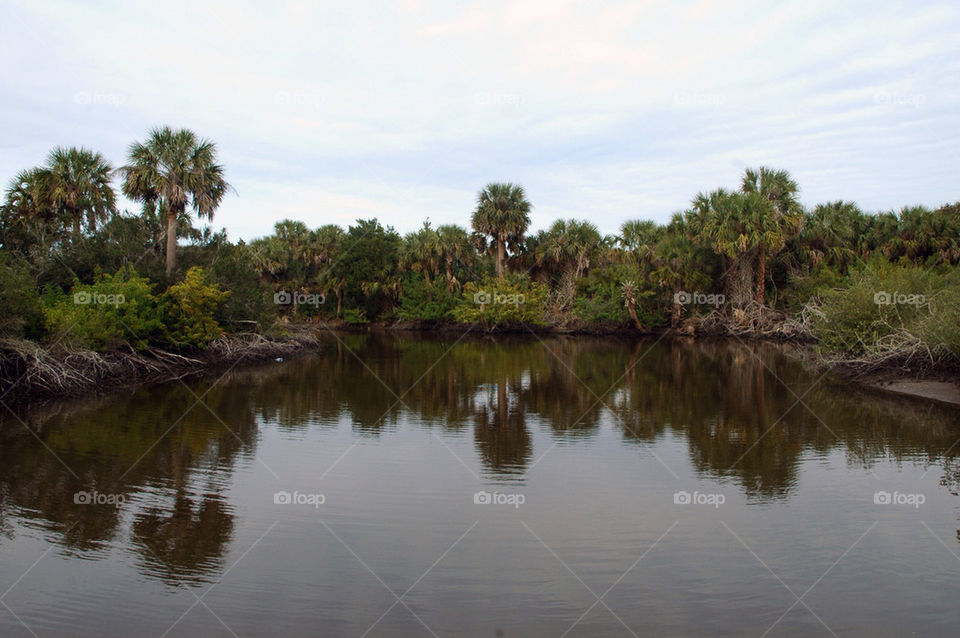 florida lagoon flagler by sixcrows