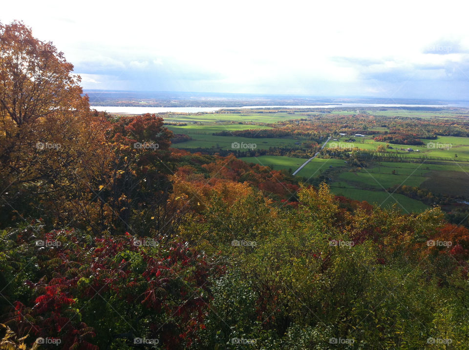 sky trees lake park by peacephotos