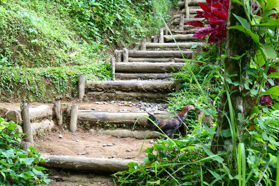 Stairway