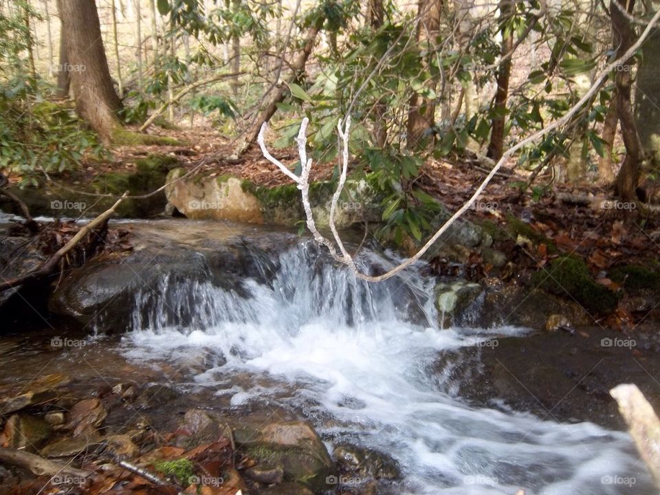 Mountain stream