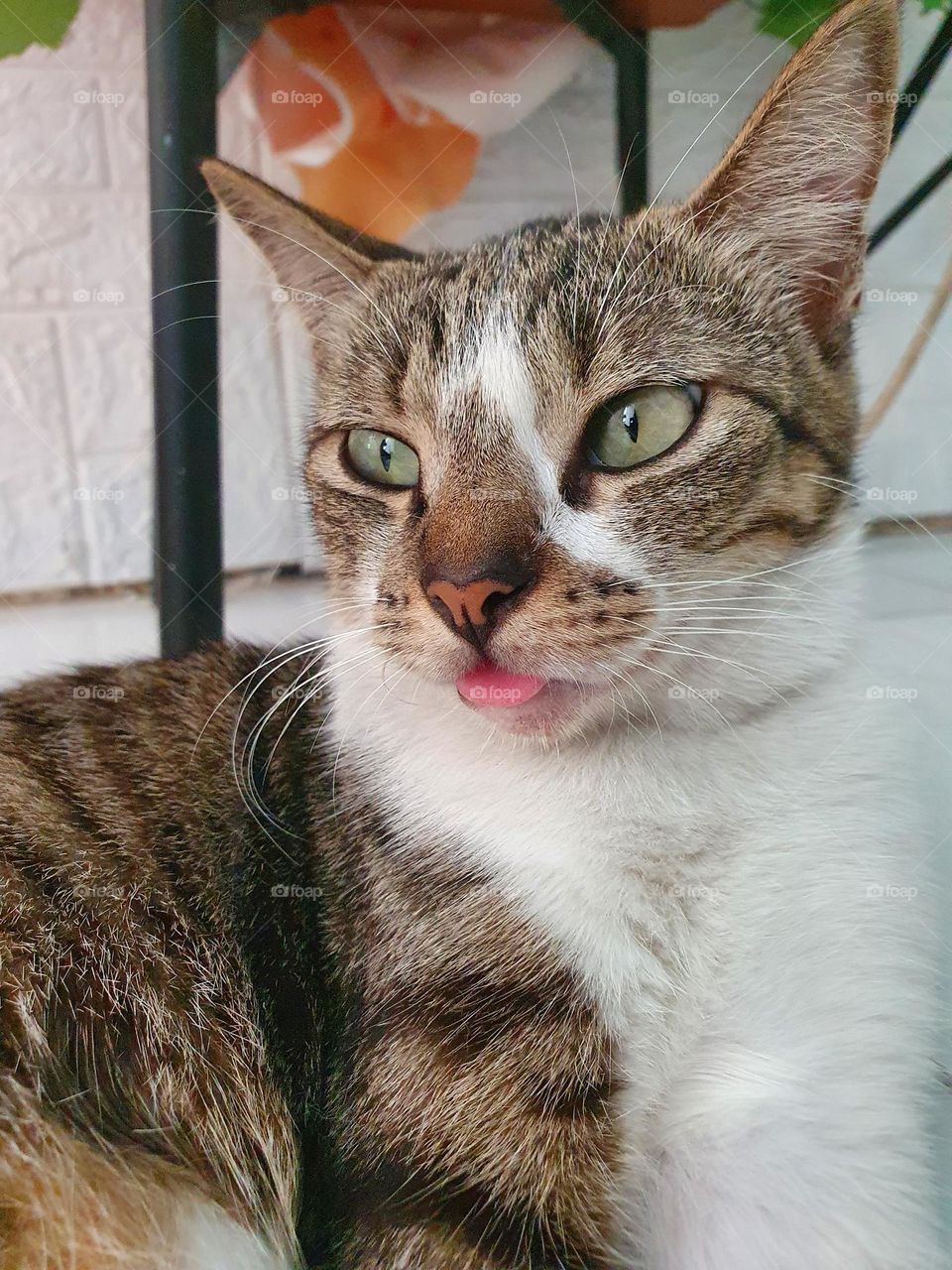 Editors ' Choice : Photo of the week