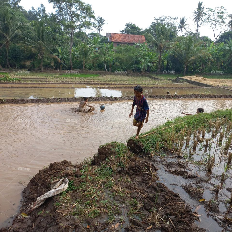 The excitement of small children playing in the rice fields