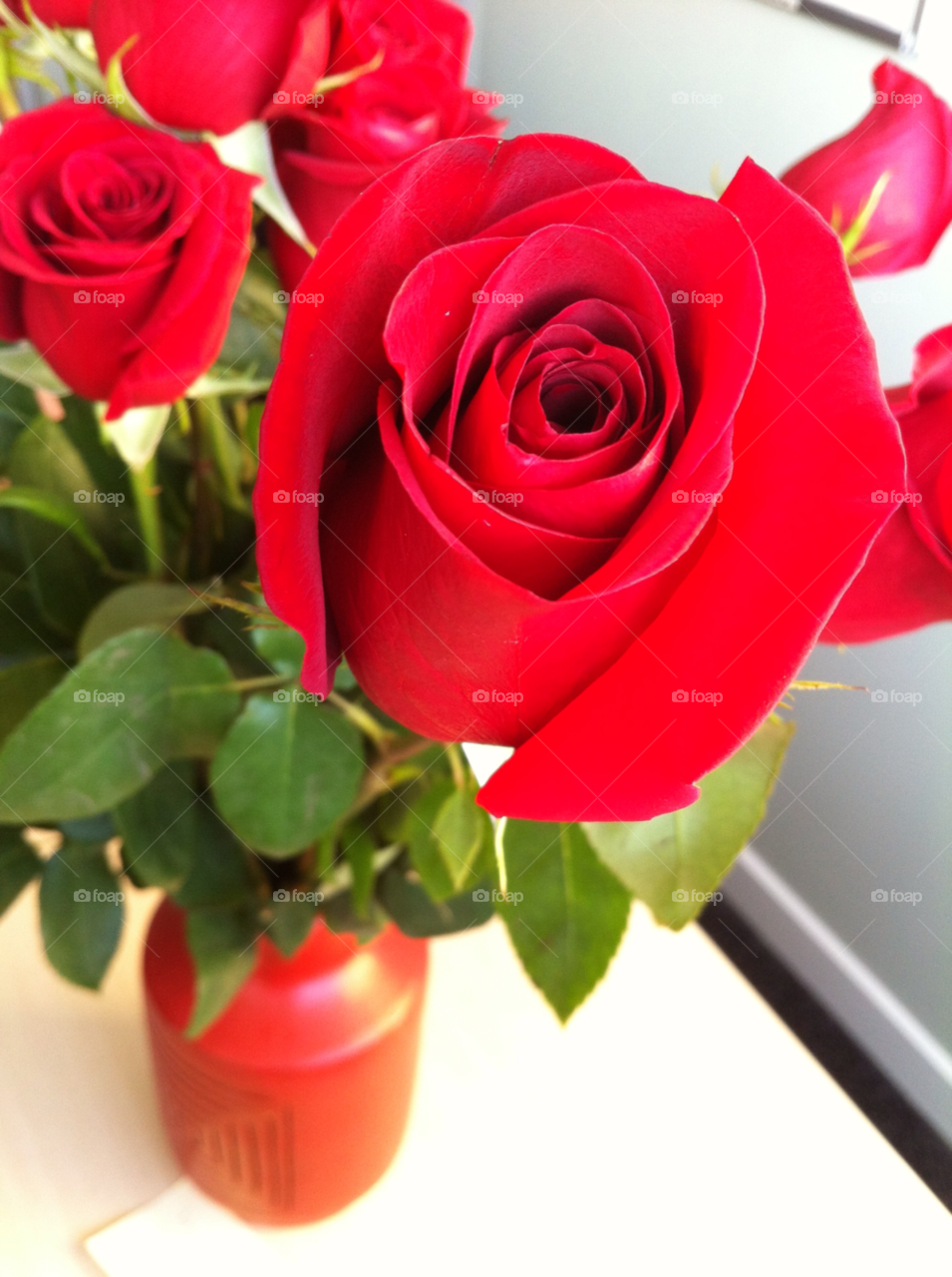 flowers red romance romantic by kar1981