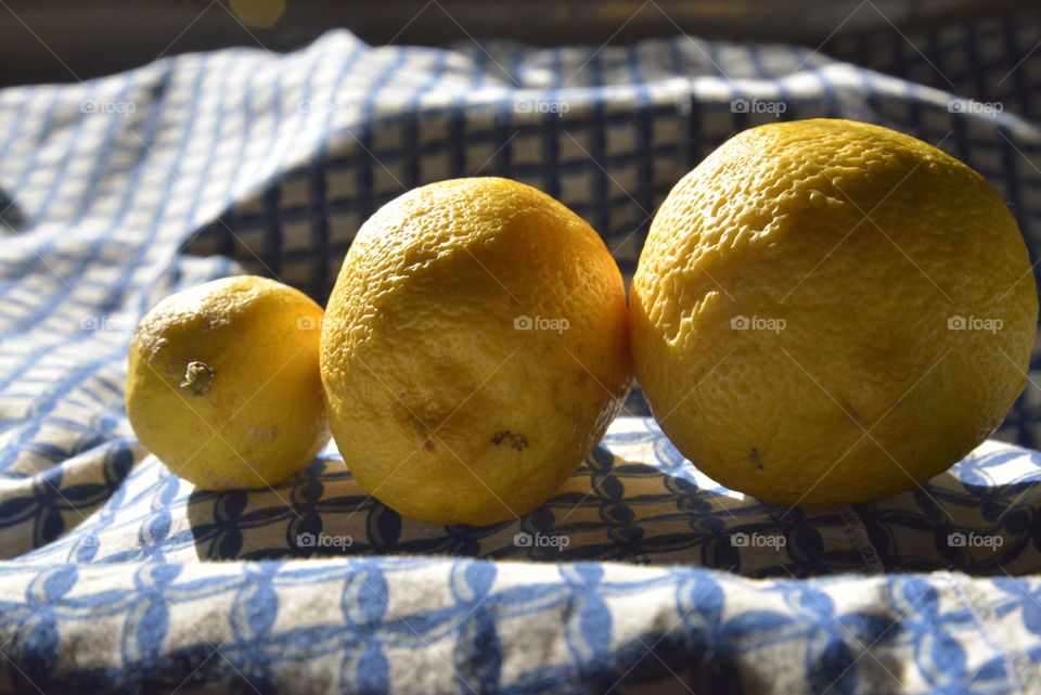Three lemons laying against each other, laying in the sunlight on a patterned table cloth