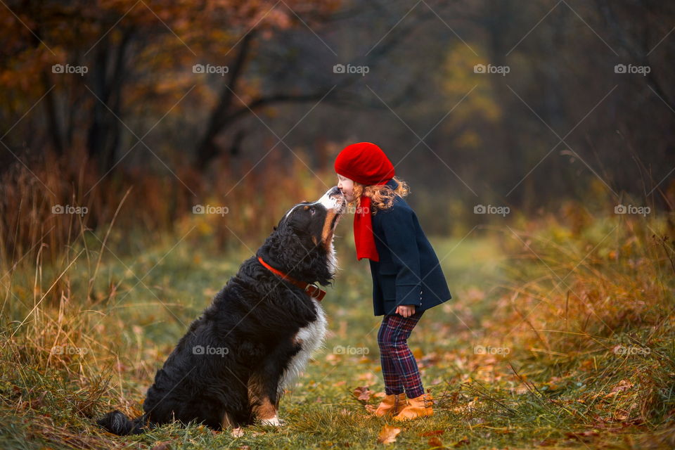 Little girl with Bern shepherd dogs in autumn park 
