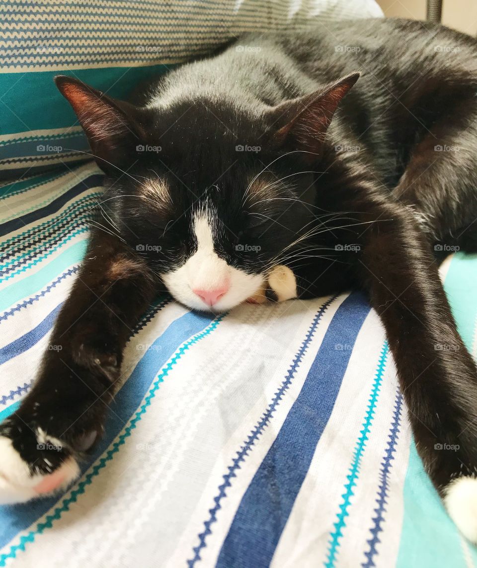 Ótimo jeito pra dormir 