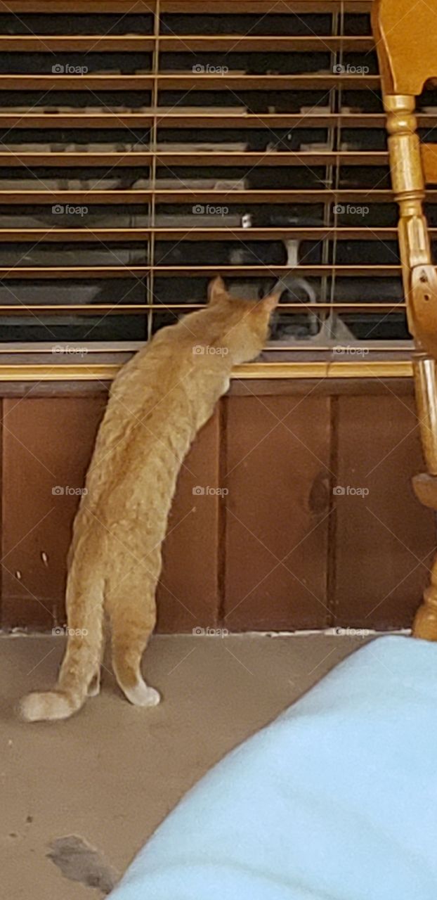 I cant smell you... I see you, Haha its warm in here