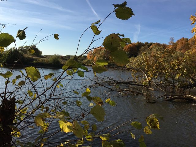 bright colors of autumn