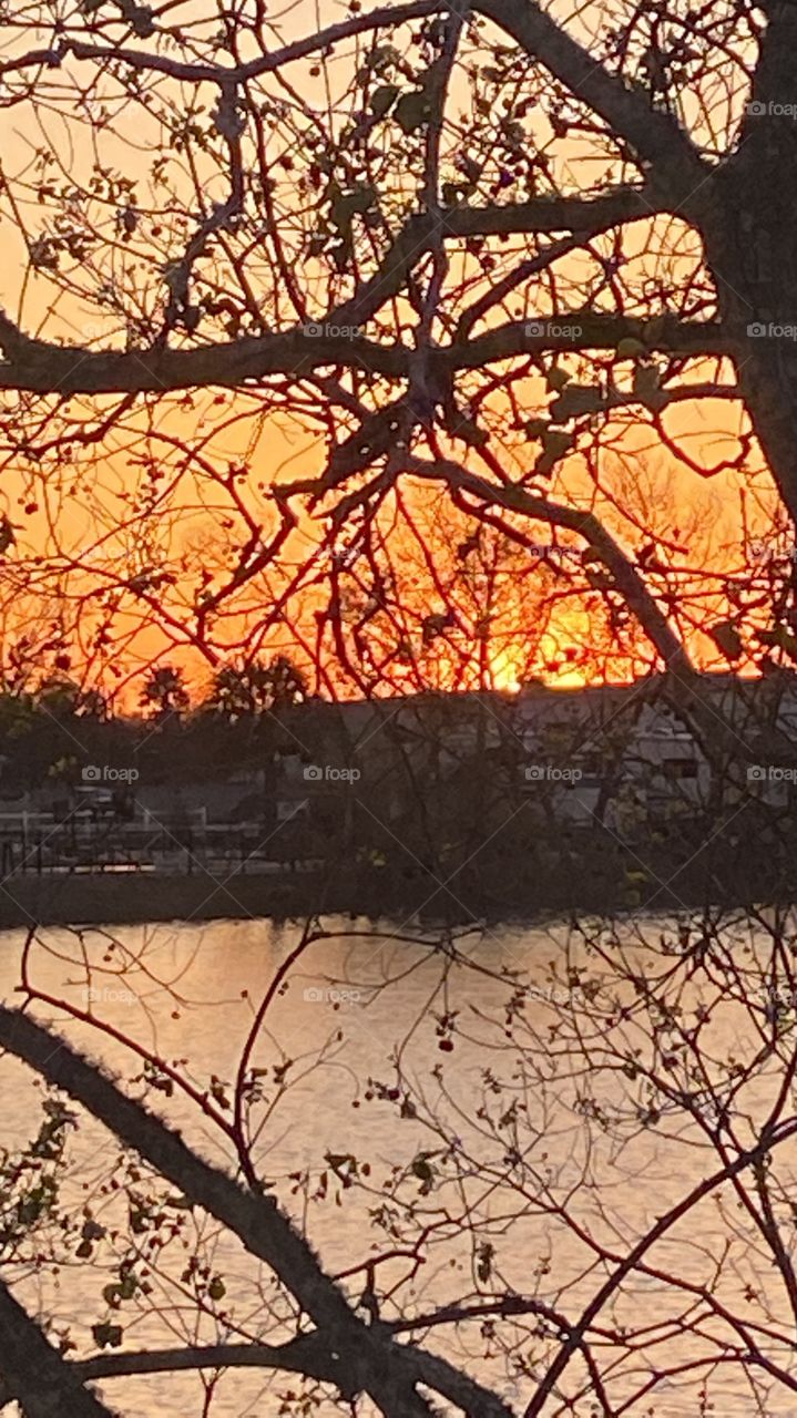 Nice color working in Sundown. Reflections of trees on Lake Waters. Trees showing leaves something about Spring oncoming to new a Season of Spring Summer.