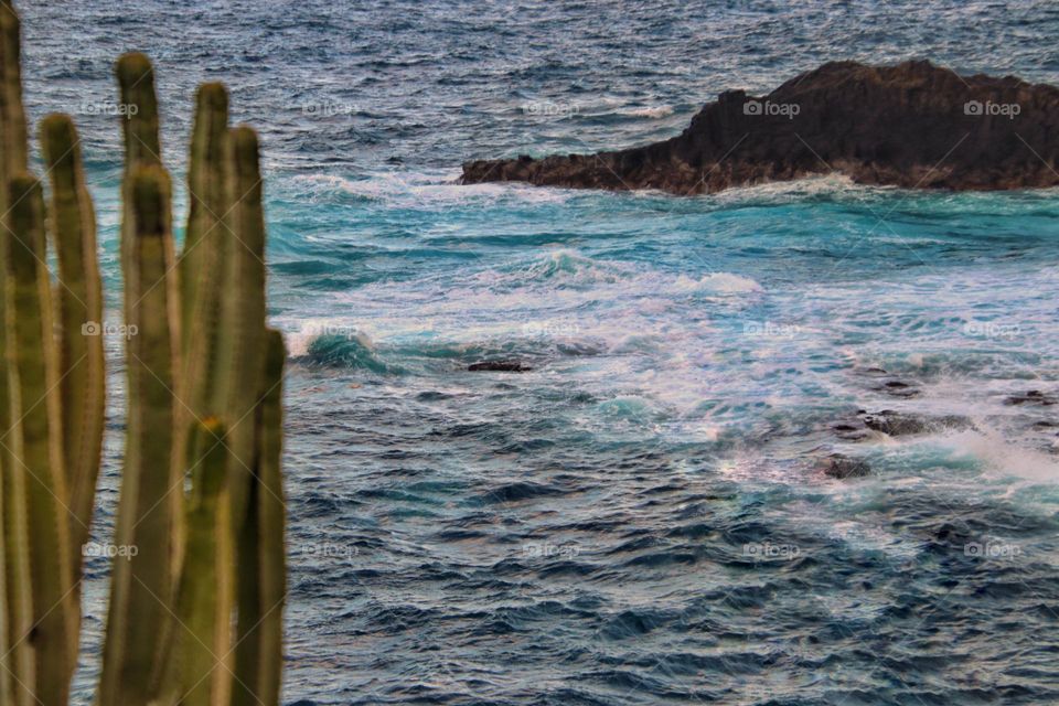 View over the rough turquoise Atlantic Ocean with cactus in the foreground