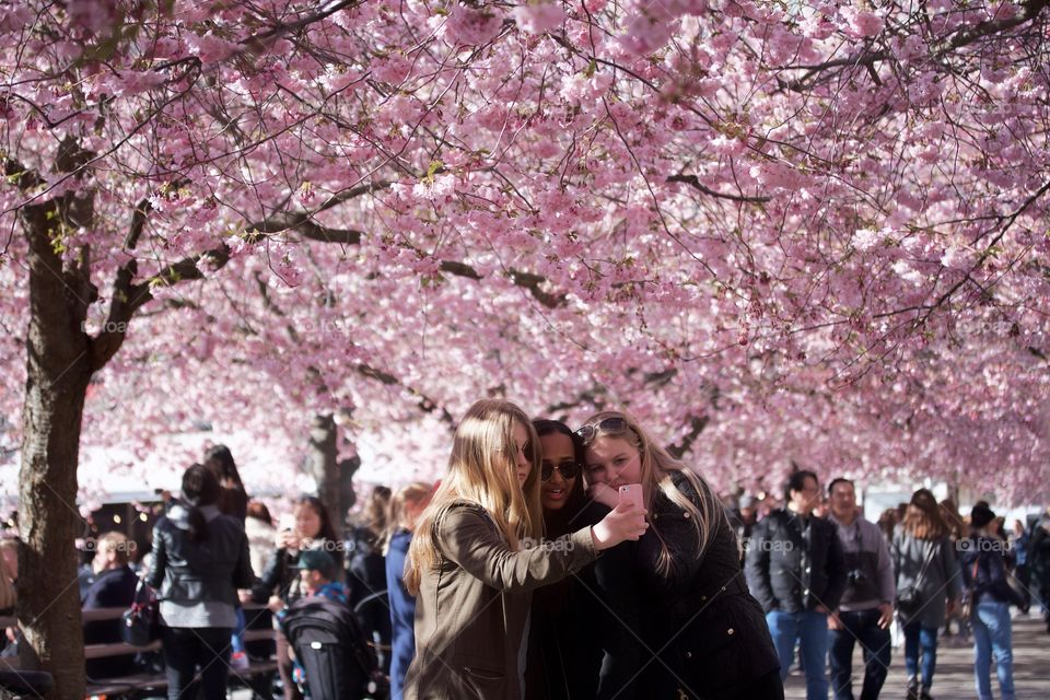 springtime in the Royal Garden, Stockholm, Sweden