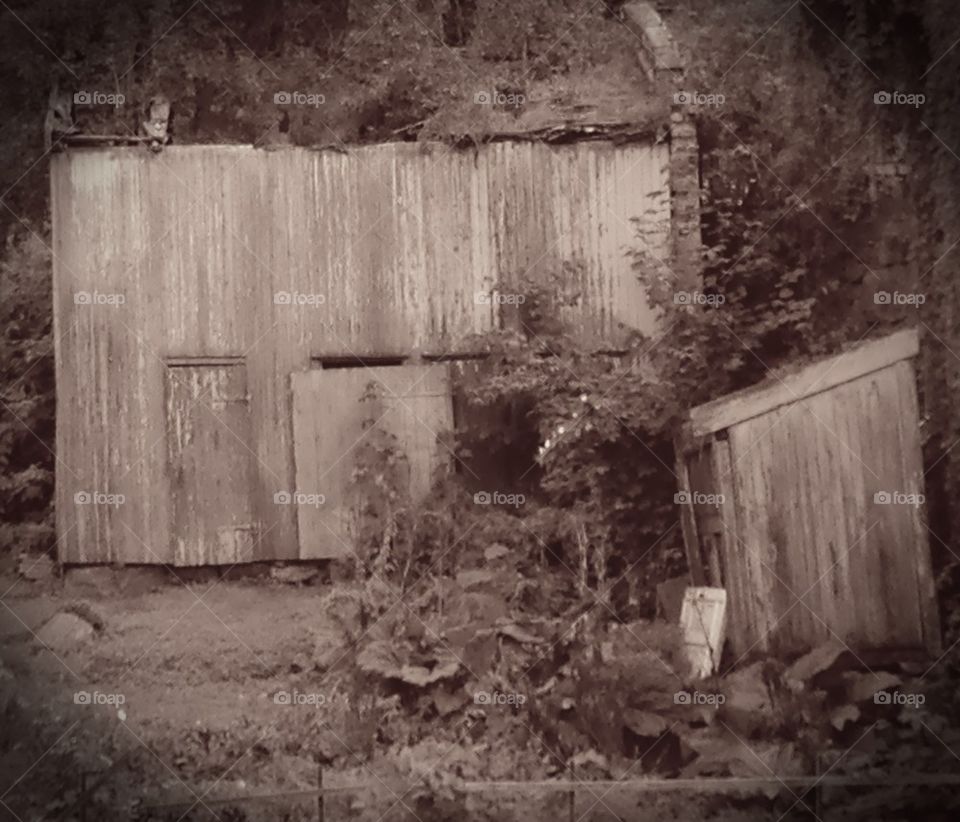 Shelter, Old, Rotten, Plants, Leafs, Overgrown, Nature, Horizon,