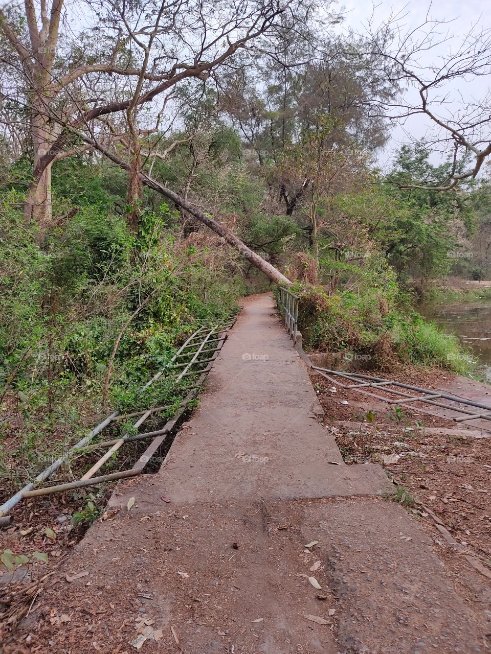 Beautiful broken bridge