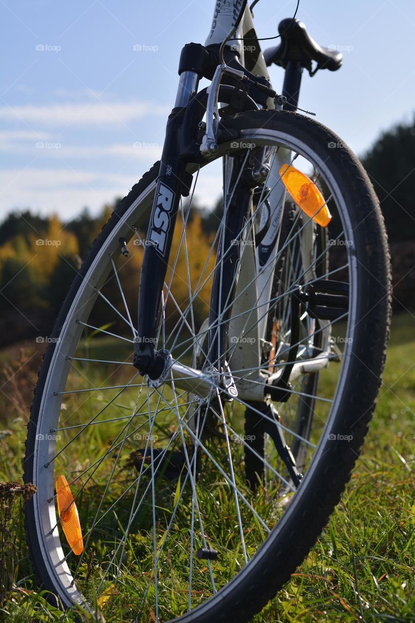 bike on a lake shore close up