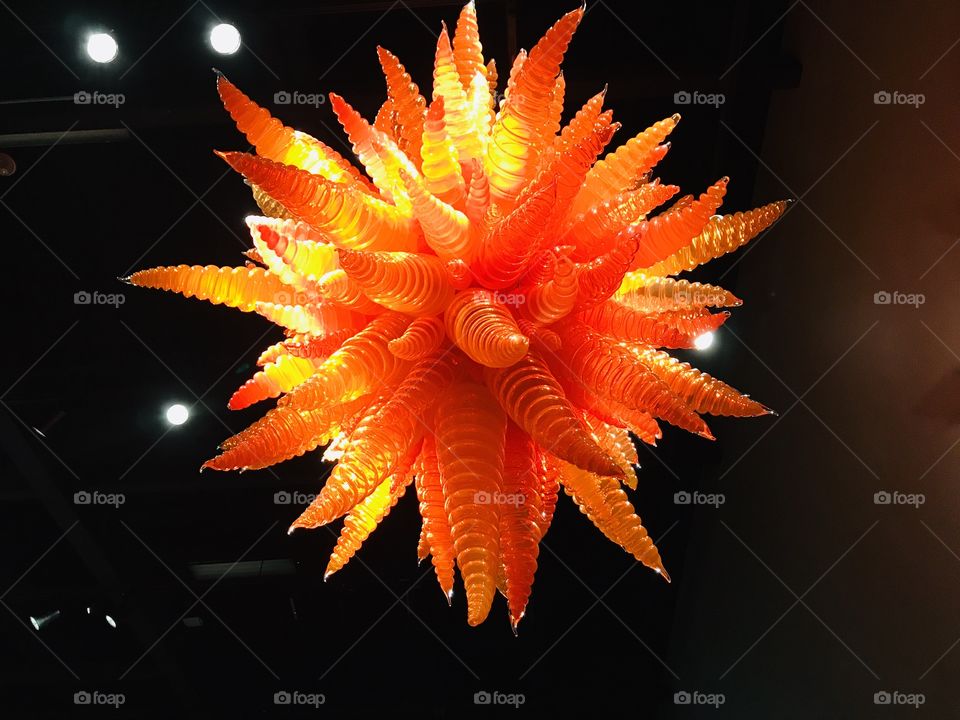 Gorgeous displays of Chihuly Glass with black backgrounds make the colors in the glass really stand out! 
