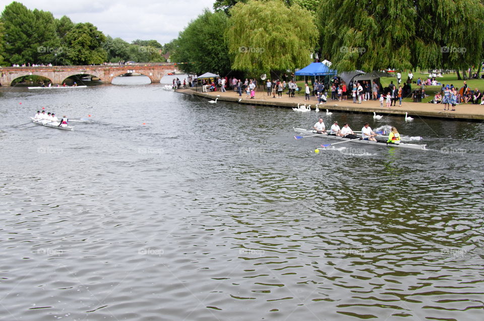 Water, Race, River, Paddle, Canoe