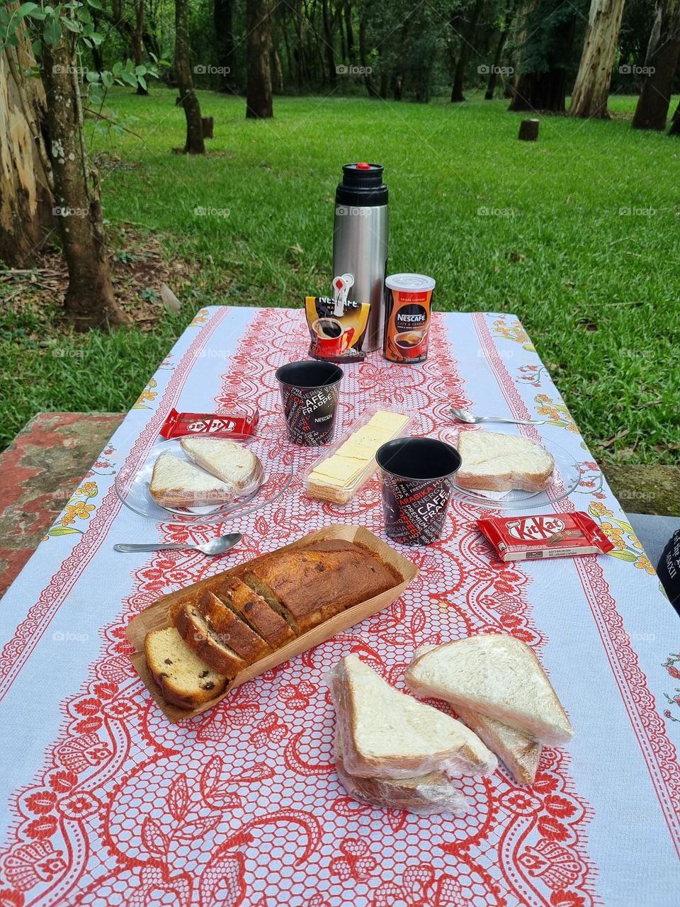 Urban nature: picnic in the park