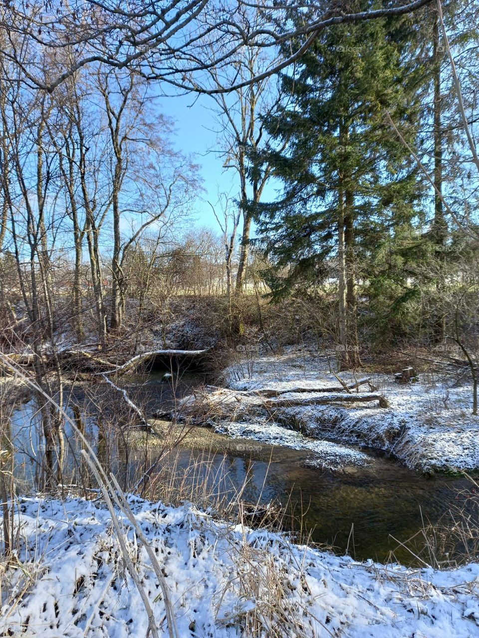 A Stream in the Winter Woods