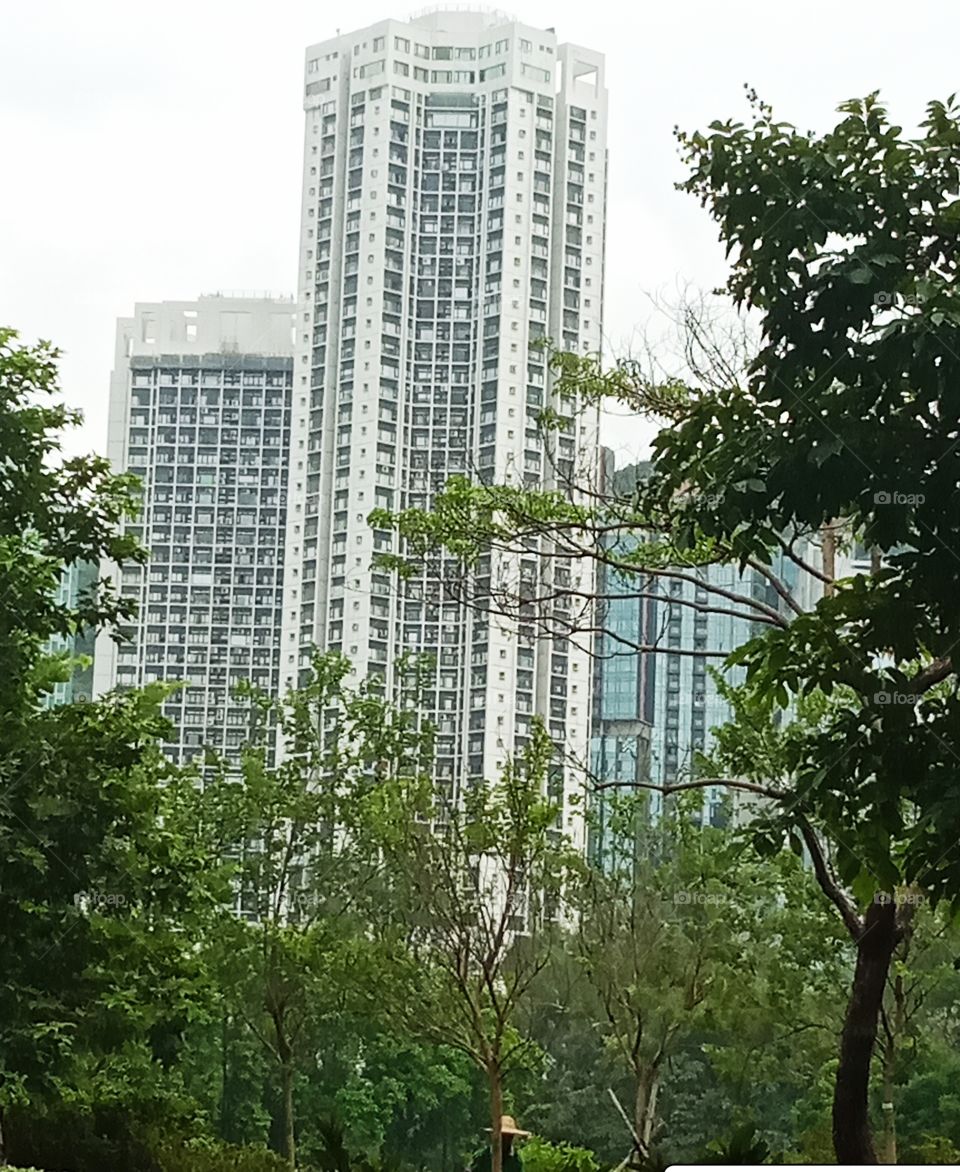 nature and urban Forest