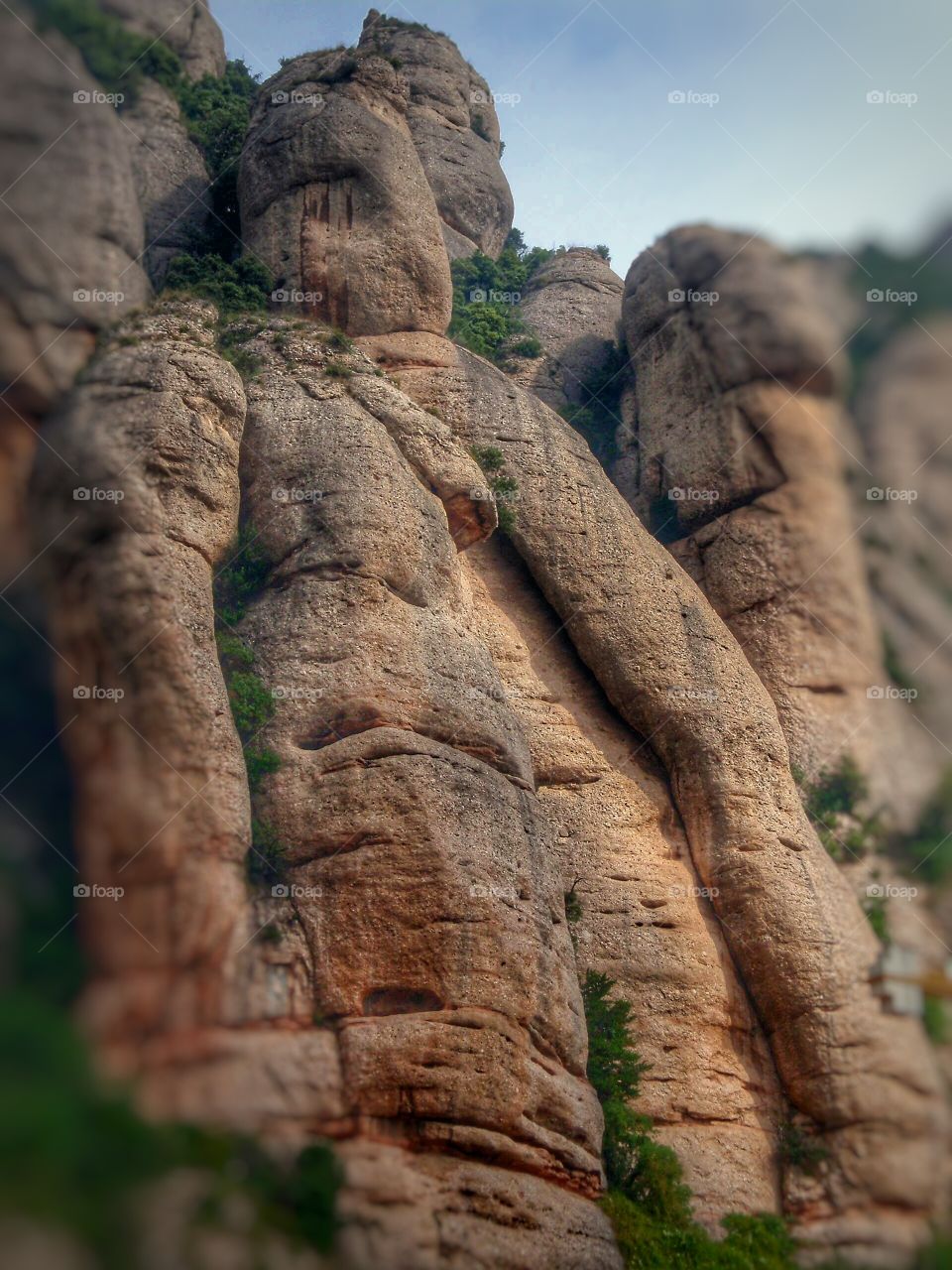 natural humanoid formation