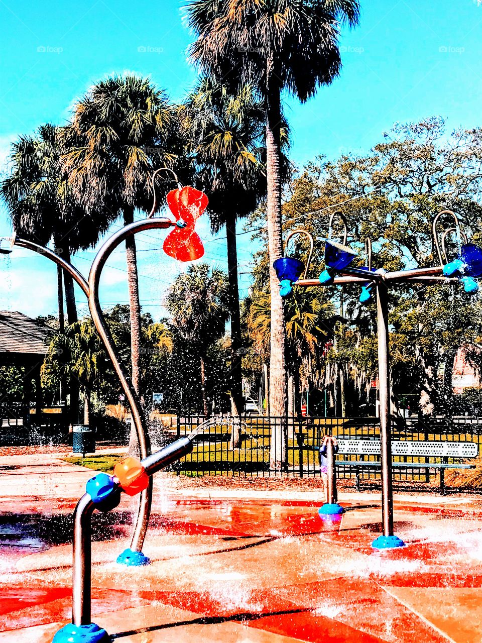 Lotos of orange and red colors,palm trees all around it, what is sprinkles playground