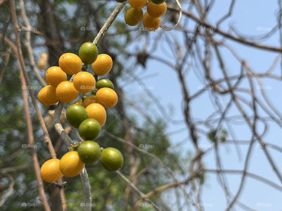 📸Capture the Power of Complementary Colors.