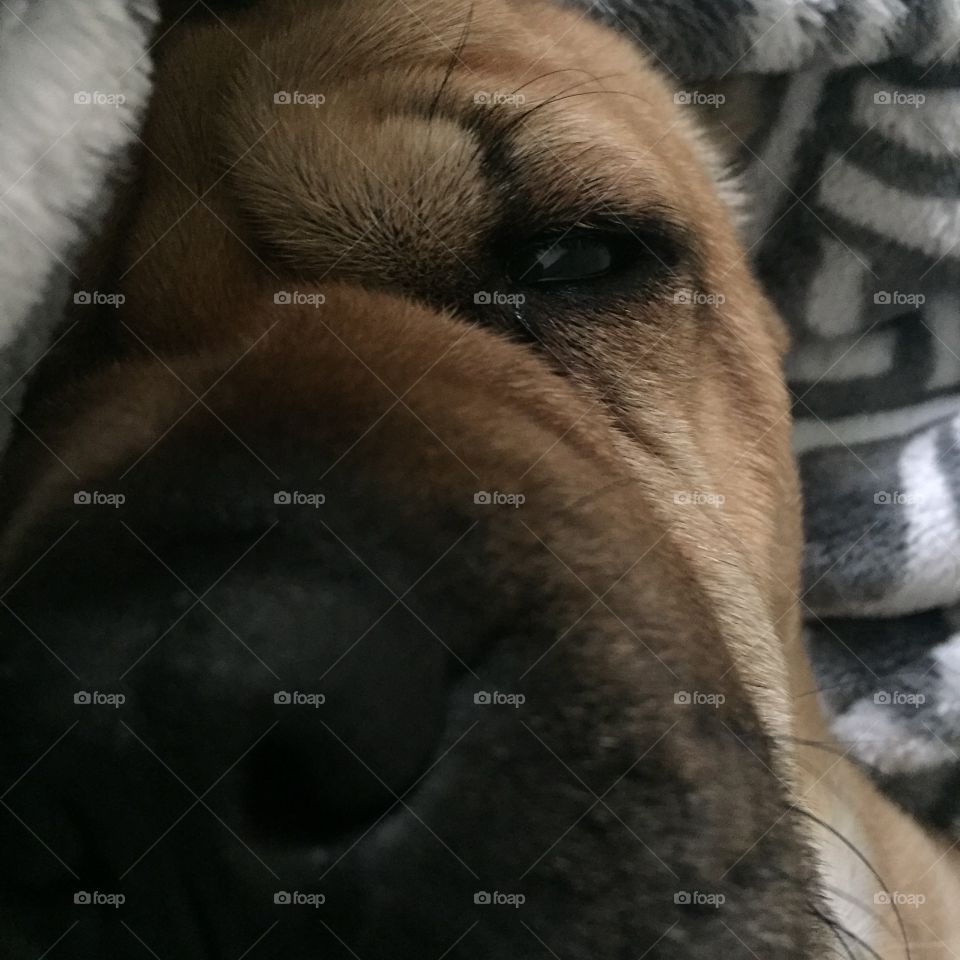 Wake up to a wrinkly face 