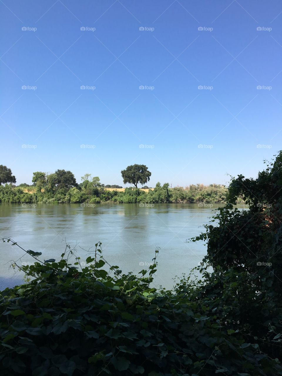 Sacramento River, Garden Hwy.