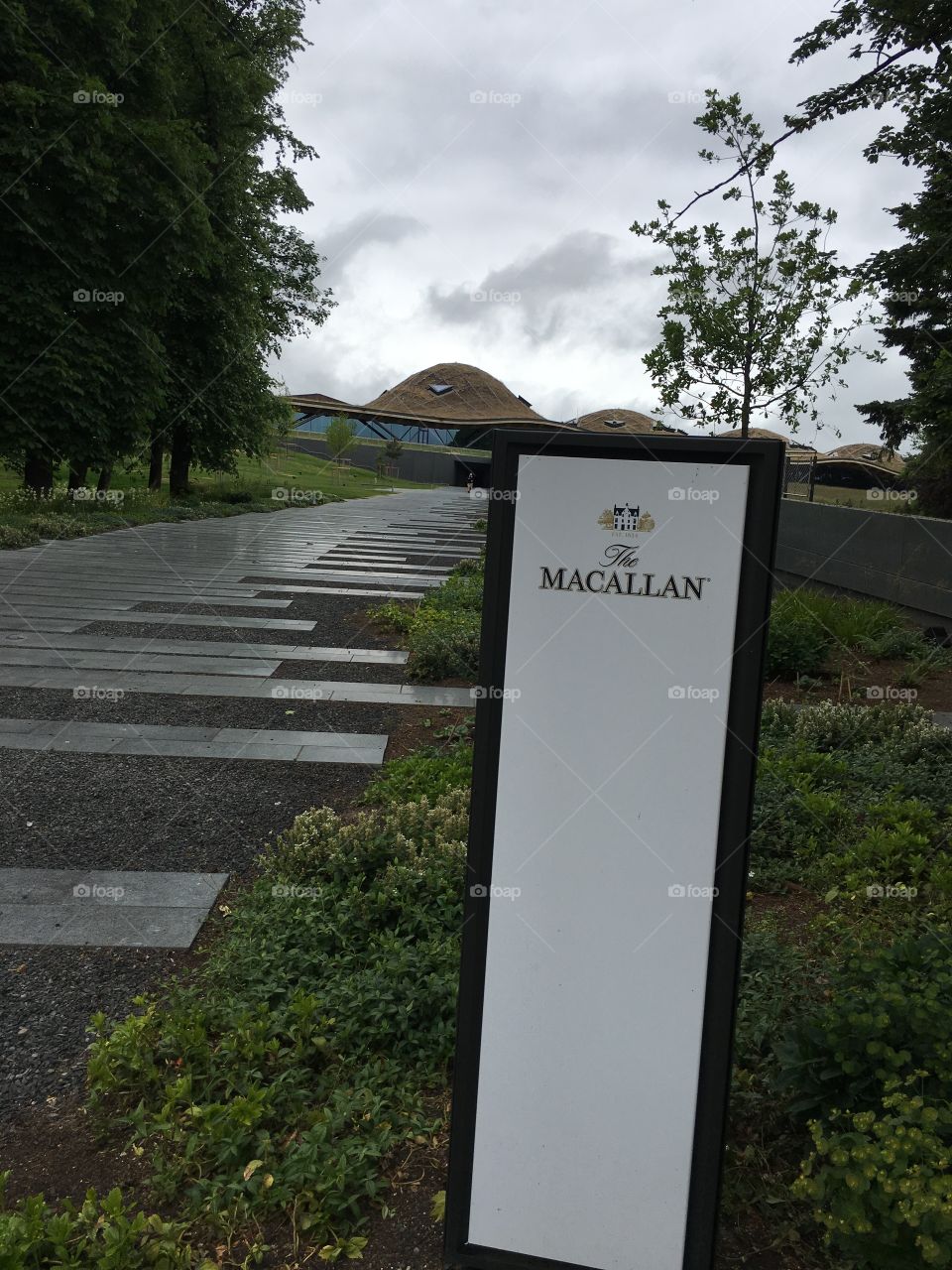 Macallan whisky in Scotland 