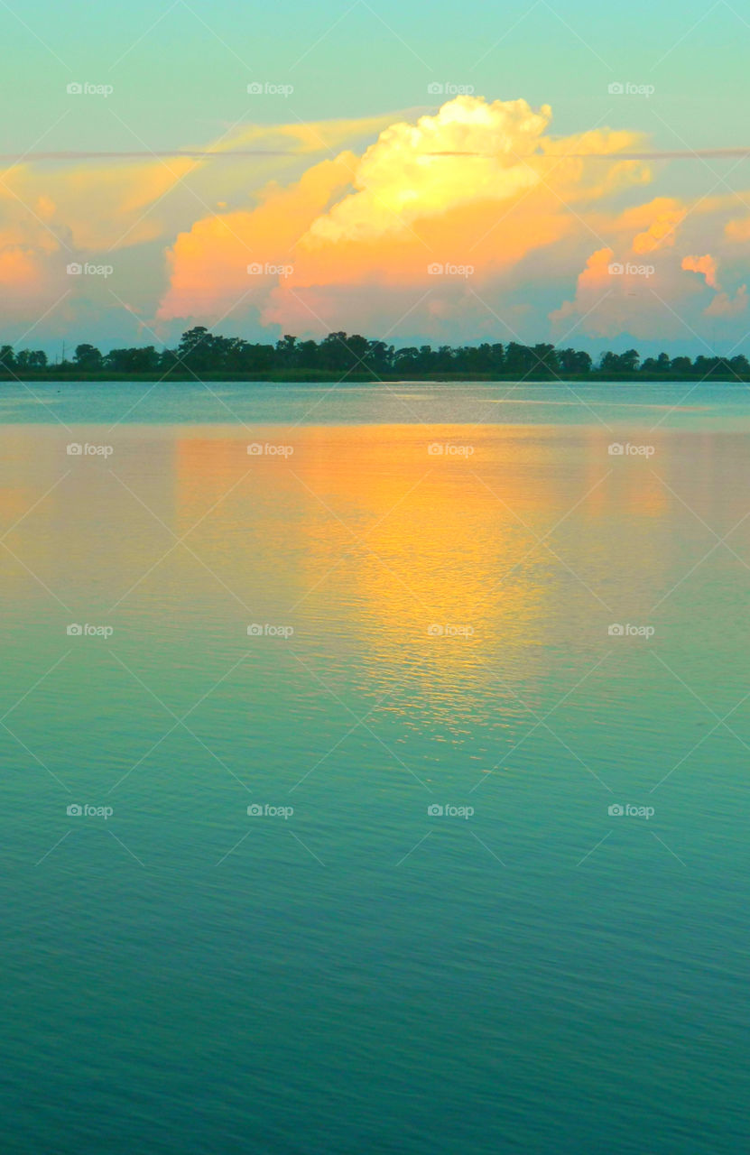 There is nothing as diverse as nature itself. It is a beautiful place; and it is everywhere. I am a haunter of nature who loves its beauty and solitude. Take a deep breath, relax, open your eyes, and enjoy the ride through my beautiful world of nature!