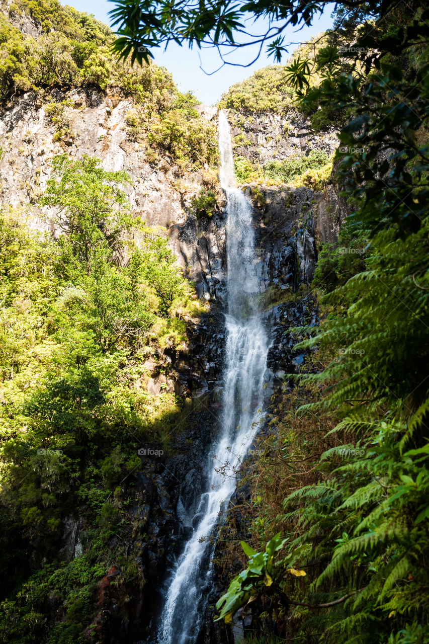 A cascade in a levada of Madeira 