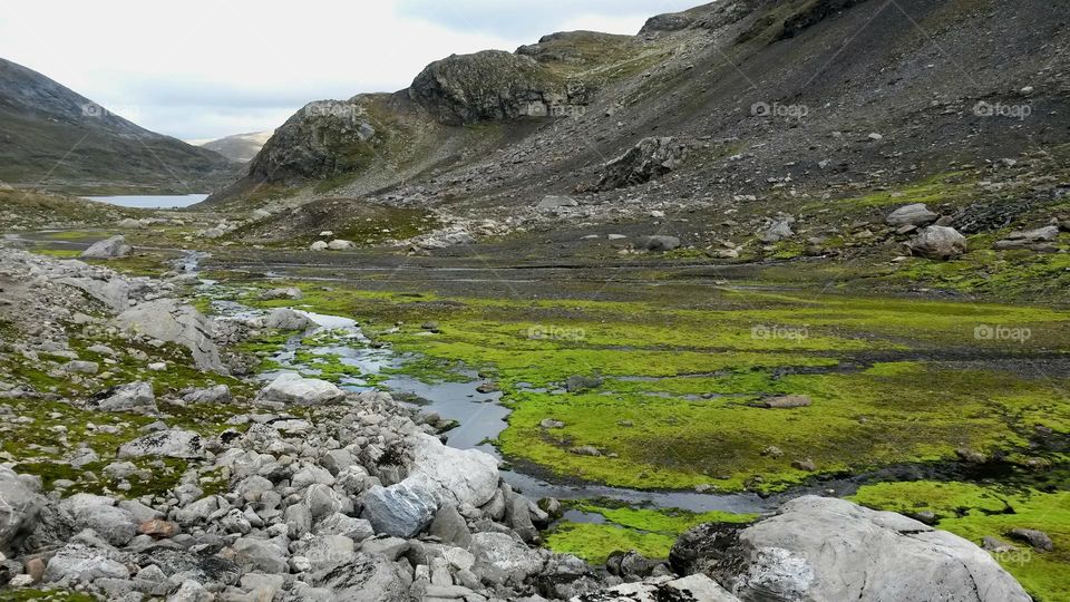 The rough nature in Norway