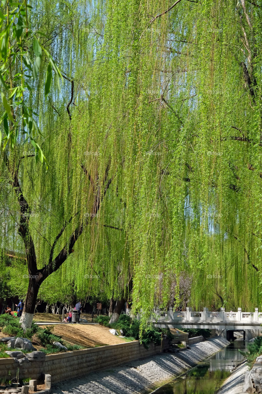 Winter in Shichahai, Beijing
