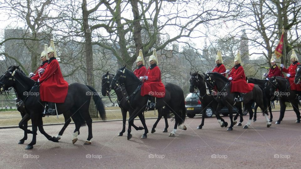 horse guards