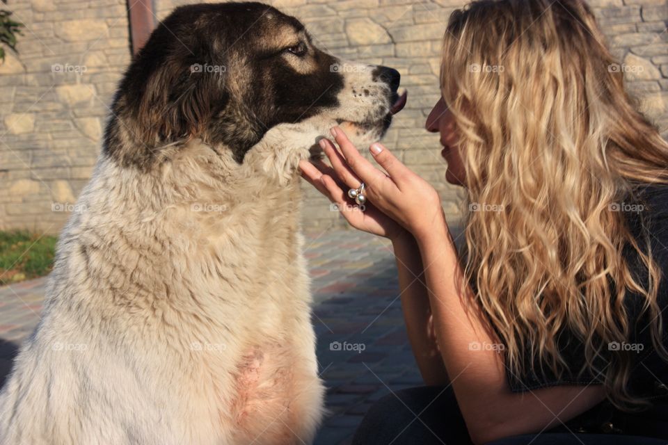 Dog, Portrait, Mammal, Canine, Pet