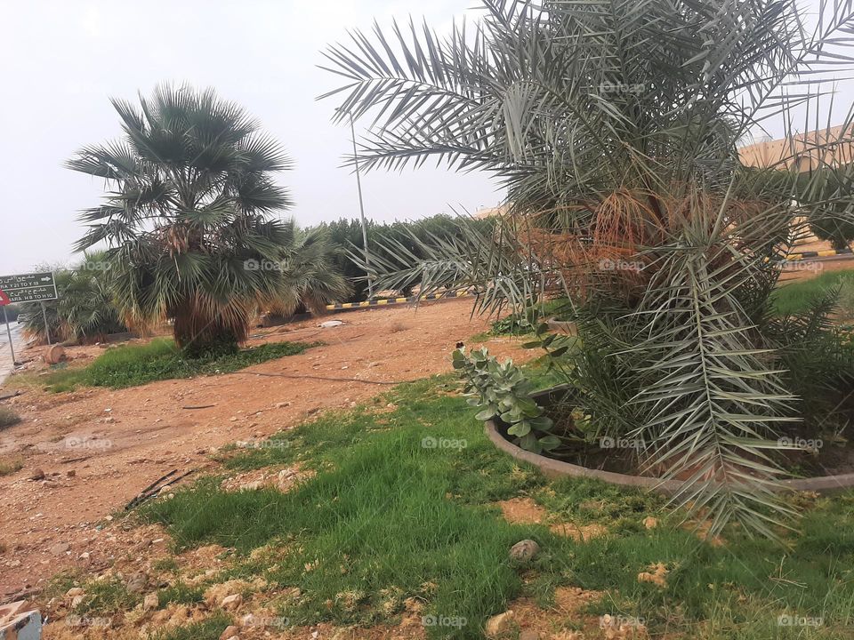 Please help me, I am very poor, I need your support and God is in need