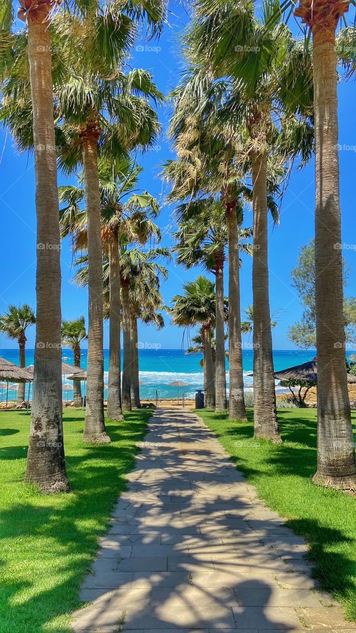 The beautiful island of Cyprus! 