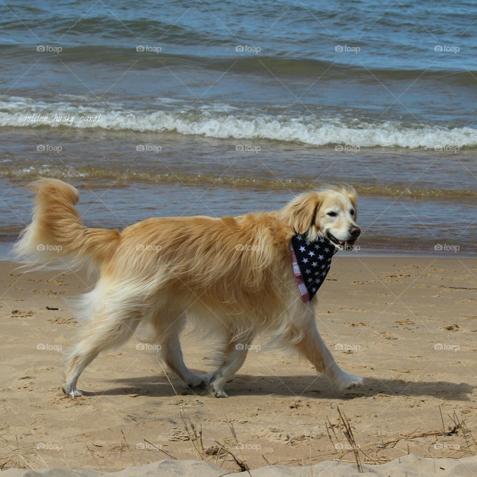 Prancing on the beach