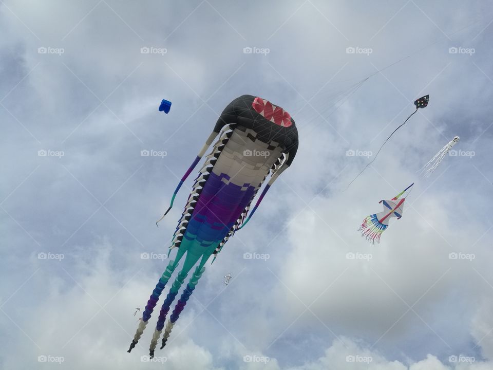 kite