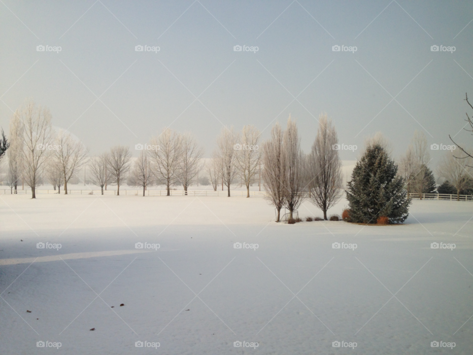 snow winter landscape tree by o3iu06