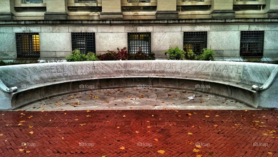 Fall bench at Columbia University