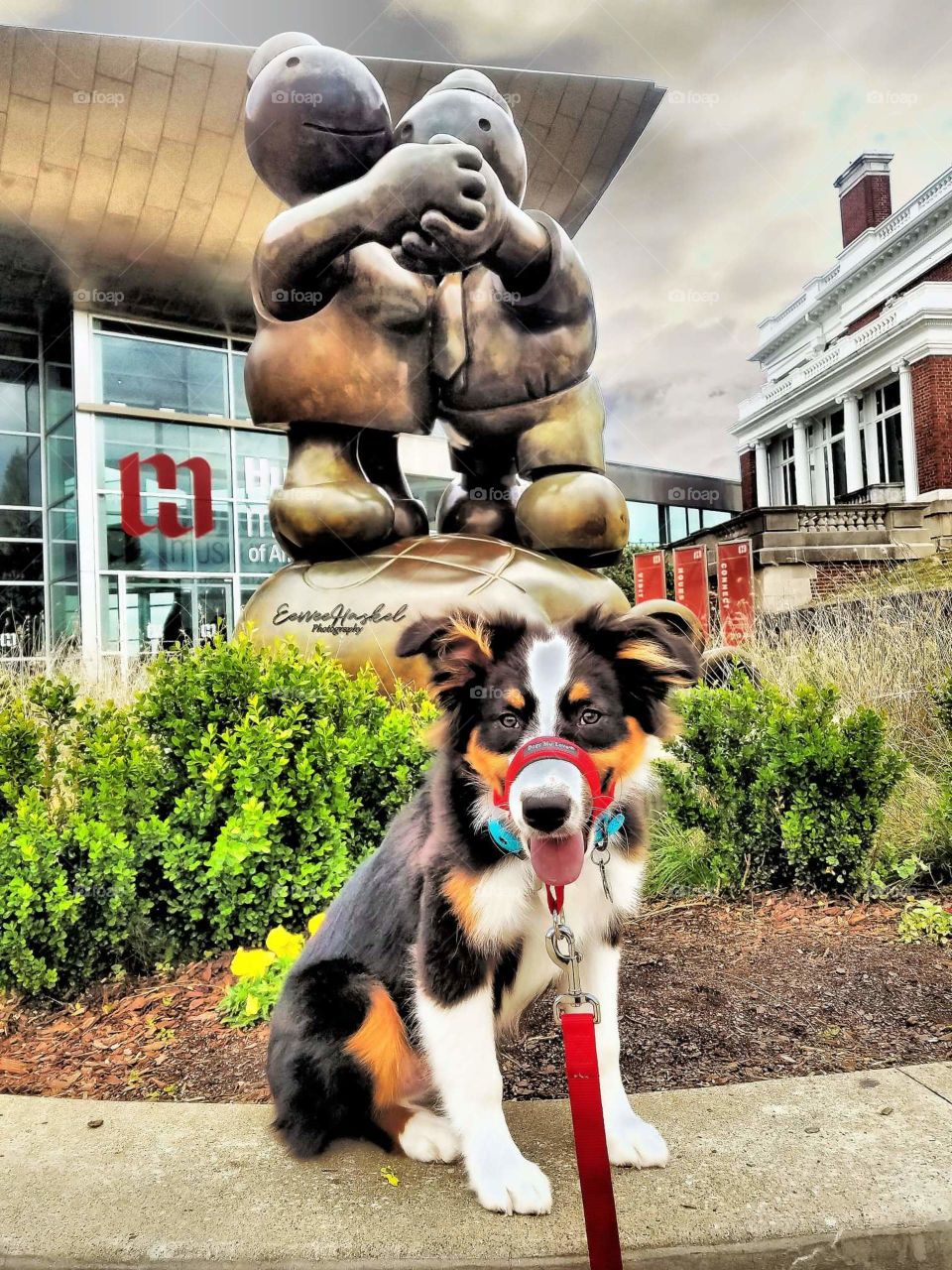 Dog posing with Sculpture